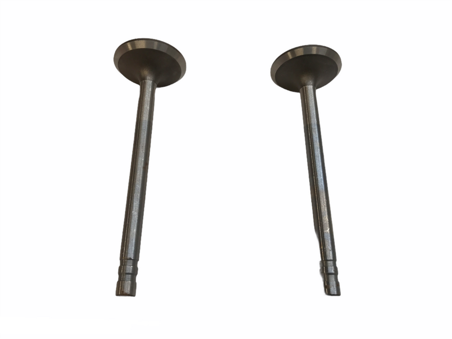 Federal Mogul Engine Intake Exhaust Valve Set V-3355S NOS