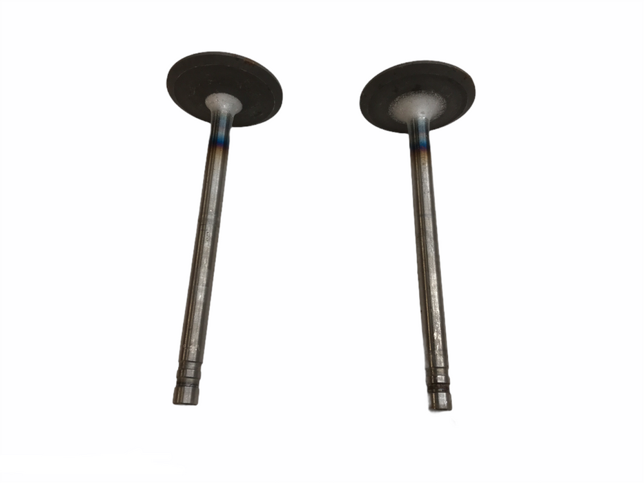 Federal Mogul Engine Intake Exhaust Valve Set V-3388AL [Lot of 2] NOS