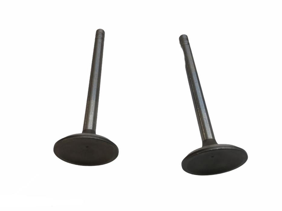 Federal Mogul Engine Intake Exhaust Valve Set V-3355S NOS