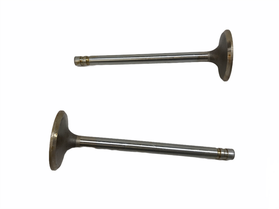 Federal Mogul Engine Intake Exhaust Valve Set X-3862AL NOS