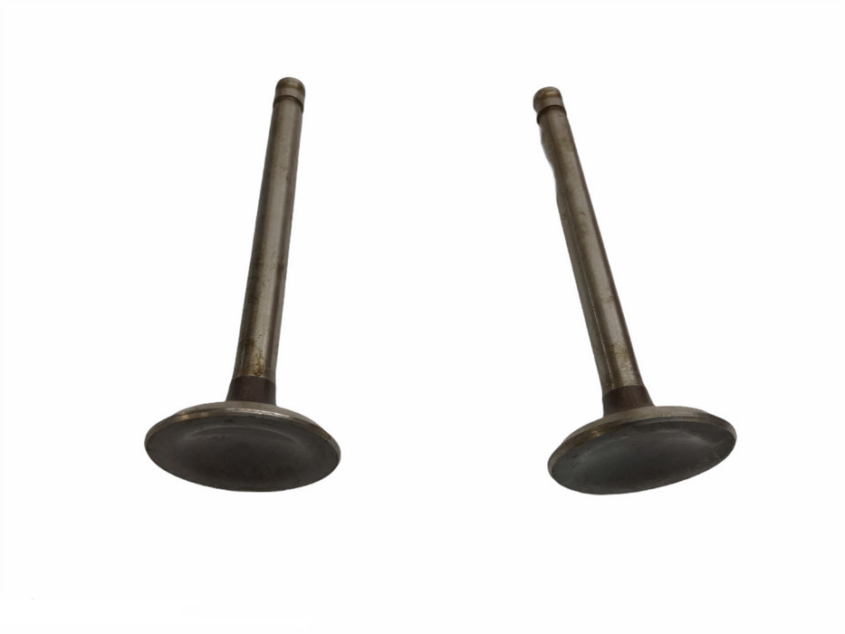 Federal Mogul Engine Intake Exhaust Valve Set V-10766 [Lot of 2] NOS