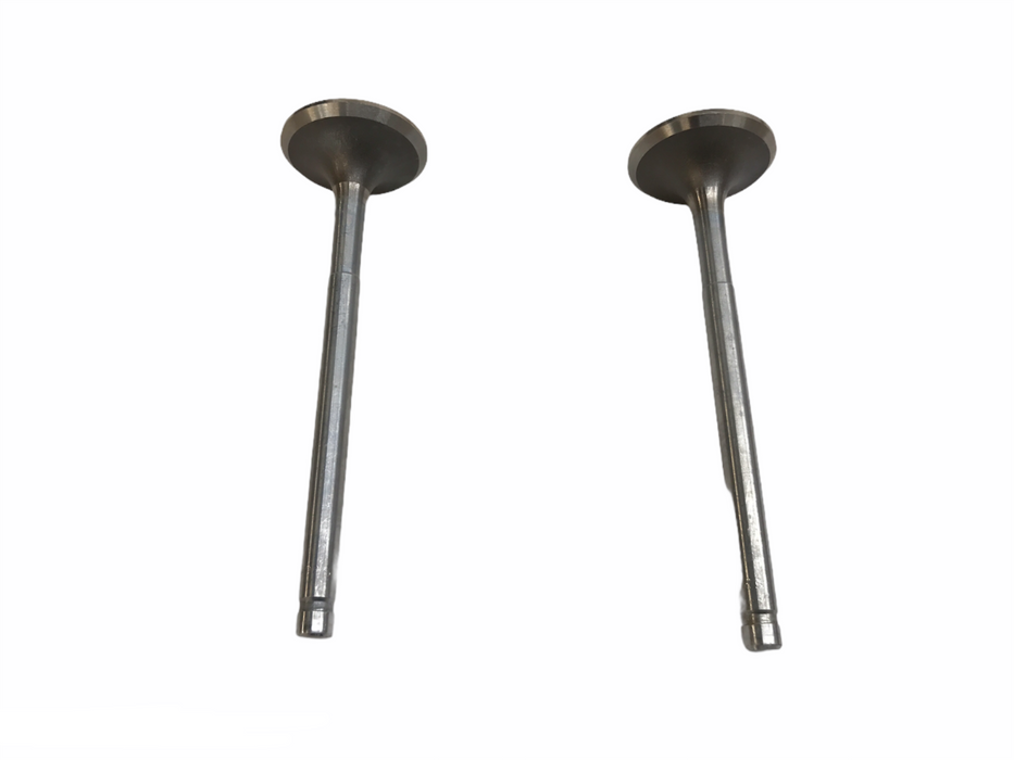 Federal Mogul Engine Intake Exhaust Valve Set X-3419 NOS