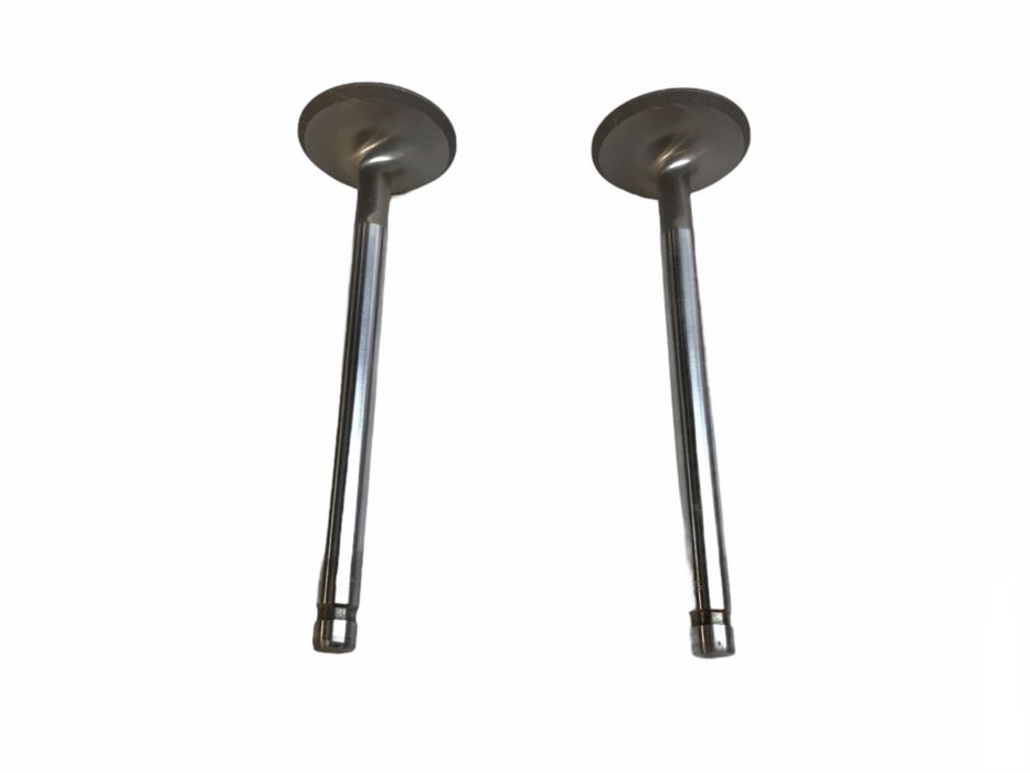 Federal Mogul Engine Intake Exhaust Valve Set X3391AL  NOS