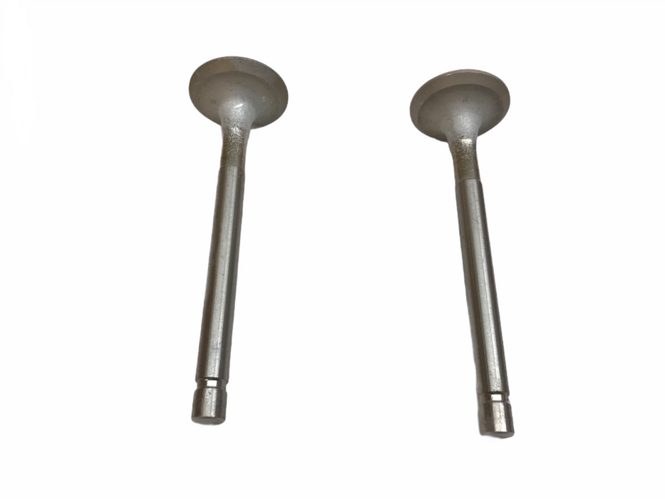 Federal Mogul Engine Intake Valve Set X10592 NOS