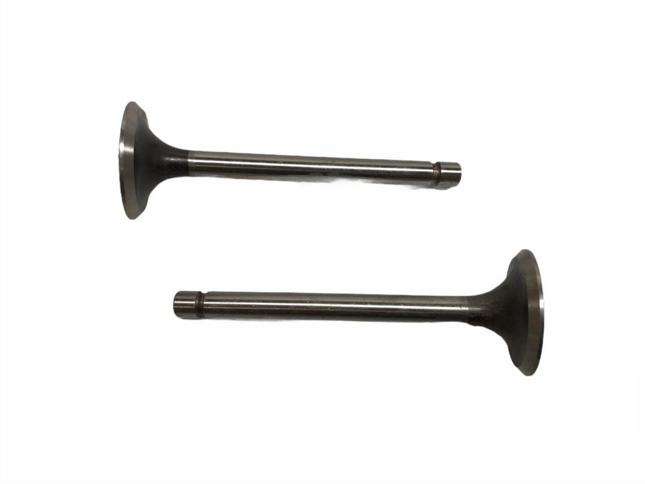 Federal Mogul Engine Intake Valve Set V10591 NOS