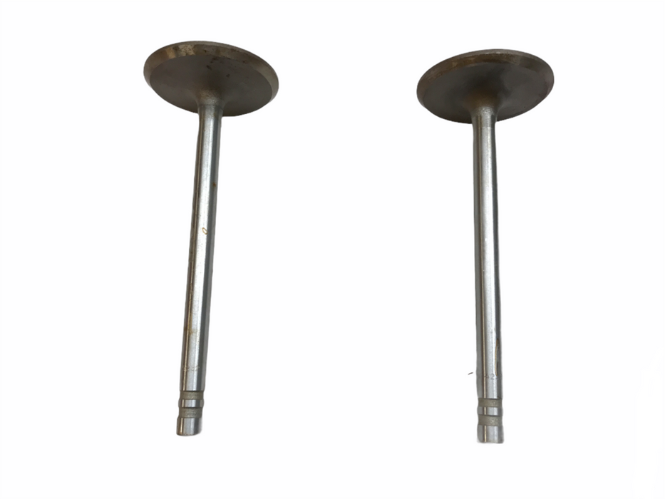 Federal Mogul Engine Intake Valve Set V4232 NOS