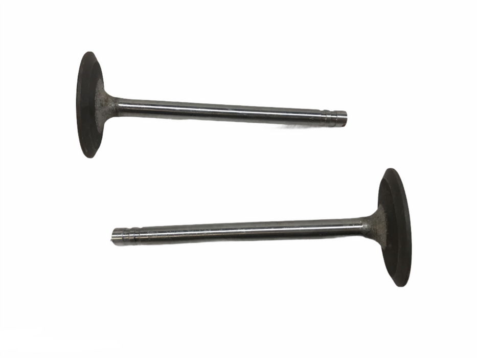 Federal Mogul Engine Intake Valve Set V3625 NOS