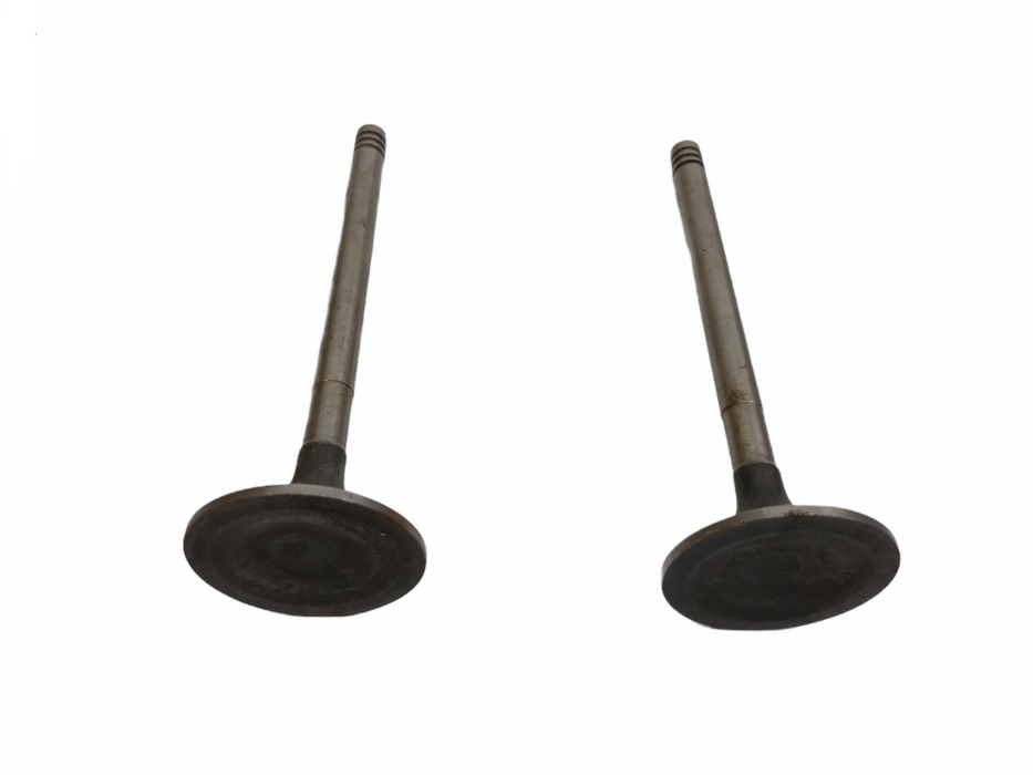 Federal Mogul Engine Intake Valve Set V-10293 NOS