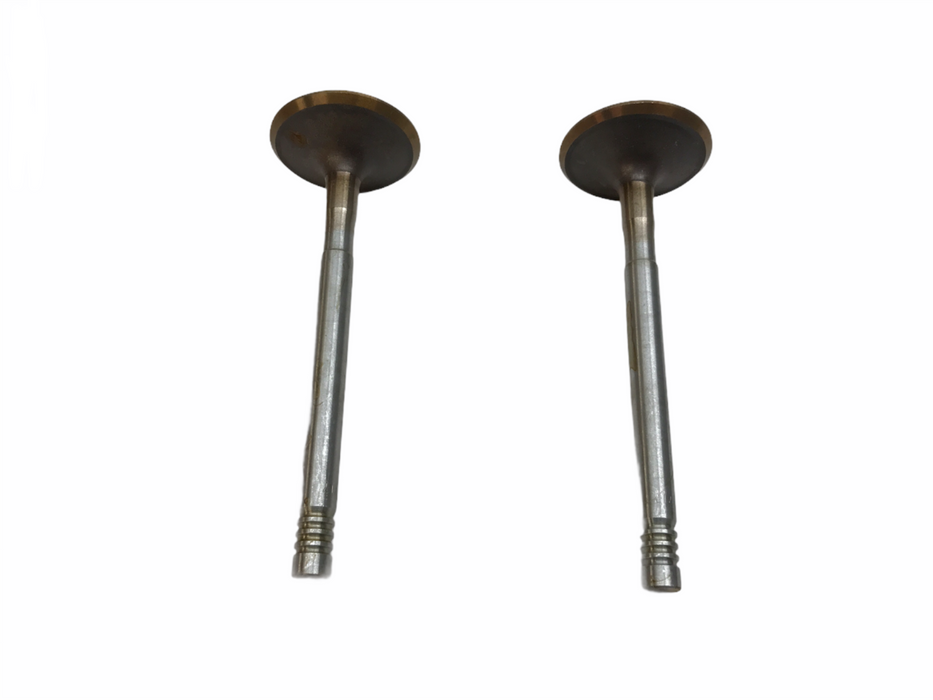 Federal Mogul Engine Intake Valve Set X3993 NOS