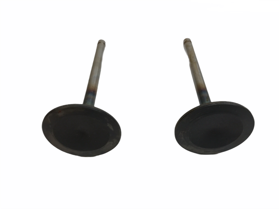 TRW Engine Intake Exhaust Valve Set V-2497 [Lot of 2] NOS
