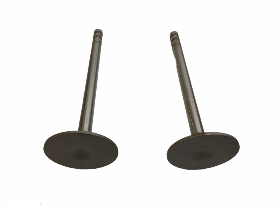 Federal Mogul Engine Exhaust Intake Valve Set V-4179 NOS