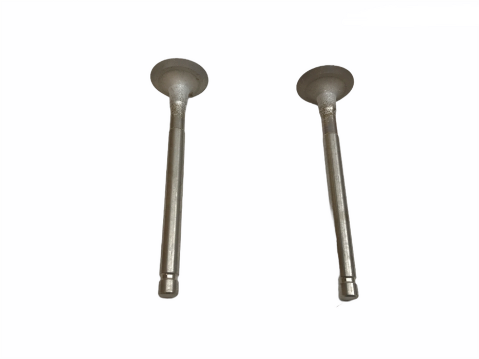 Federal Mogul Engine Intake Valve Set X10498 NOS