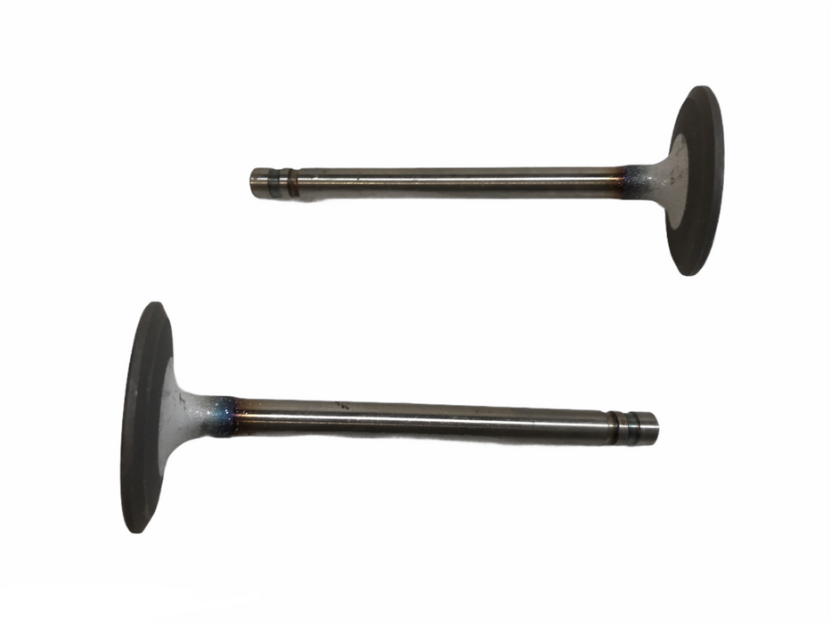Federal Mogul Engine Intake Exhaust Valve Set V3378AL [Lot of 2] NOS