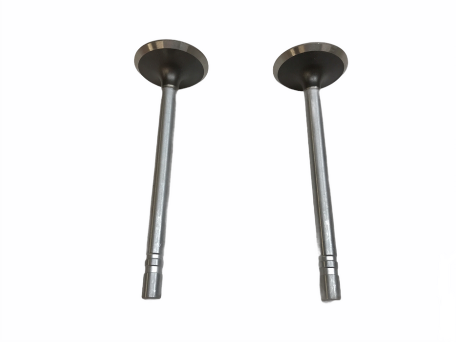 Federal Mogul Engine Intake Exhaust Valve Set X-3870AL NOS