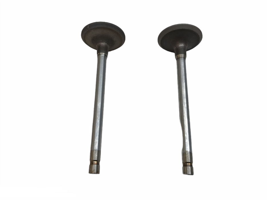 TRW Engine Intake Valve Set S2806 NOS