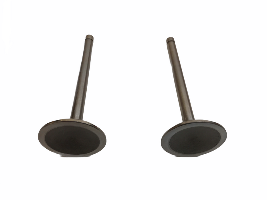 Federal Mogul Engine Intake Exhaust Valve Set V-3889 NOS