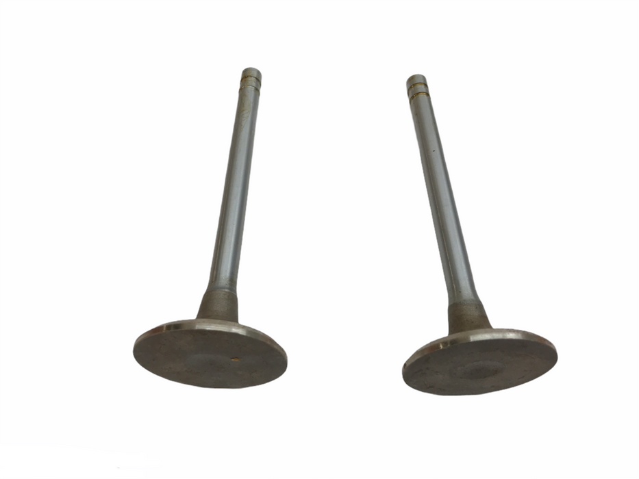 Federal Mogul Engine Intake Exhaust Valve Set X-4238 [Lot of 2] NOS