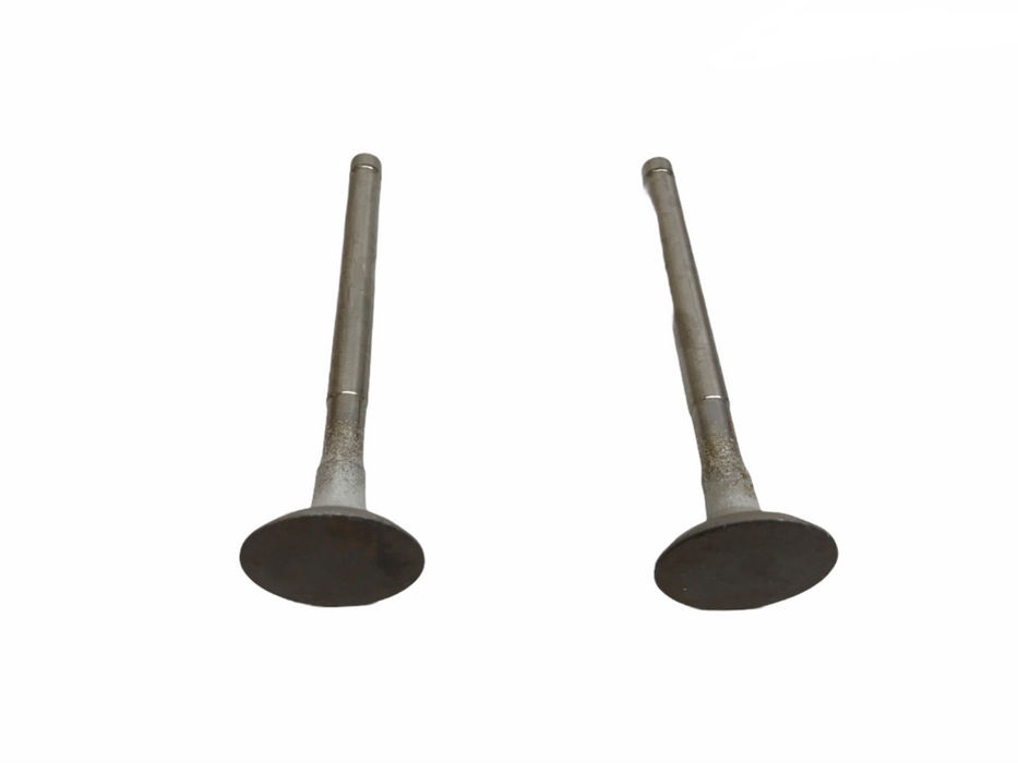 Federal Mogul Engine Intake Valve Set X10498 NOS